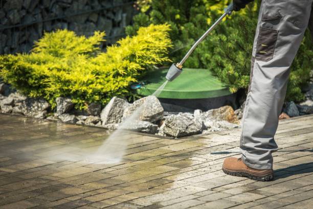 Best Gutter Cleaning  in Pine Castle, FL