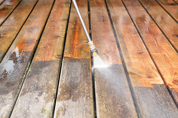 Best Dumpster Area Cleaning  in Pine Castle, FL